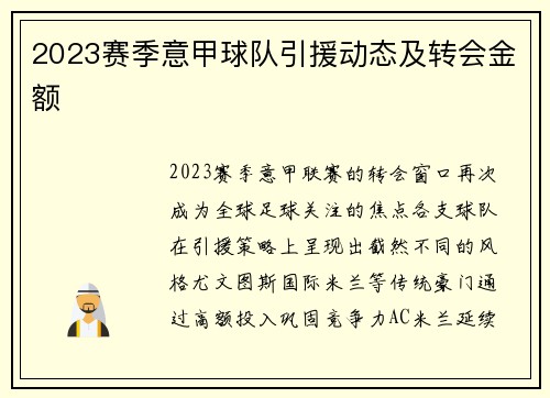 2023赛季意甲球队引援动态及转会金额